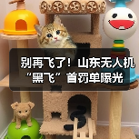 别再飞了!山东无人机“黑飞”首罚单曝光(图4) 别再飞了!山东无人机“黑飞”首罚单曝光(图4)