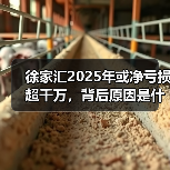 徐家汇2025年或净亏损超千万,背后原因是什么?(图4) 徐家汇2025年或净亏损超千万,背后原因是什么?(图4)