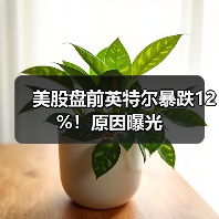 美股盘前英特尔暴跌12%！原因曝光(图4)