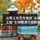山东工业五年奋进 山东工业五年奋进头号工程引领智造升级新篇章(图4)