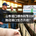 山东港口绿色转型如何推动港口生态升级？
