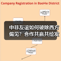 中非友谊如何破除西方偏见?合作共赢共绘发展蓝图(图3) 中非友谊如何破除西方偏见?合作共赢共绘发展蓝图(图3)