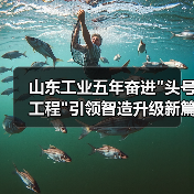 山东工业五年奋进 山东工业五年奋进头号工程引领智造升级新篇章(图3)