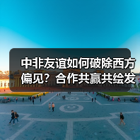 中非友谊如何破除西方偏见?合作共赢共绘发展蓝图(图4) 中非友谊如何破除西方偏见?合作共赢共绘发展蓝图(图4)