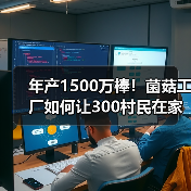 年产1500万棒!菌菇工厂如何让300村民在家门口就业(图4) 年产1500万棒!菌菇工厂如何让300村民在家门口就业(图4)
