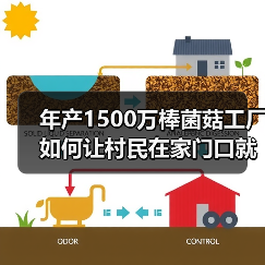 年产1500万棒菌菇工厂如何让村民在家门口就业？(图4)