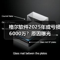 格尔软件2025年或亏损6000万？原因曝光(图2)