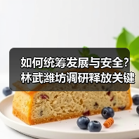 如何统筹发展与安全？林武潍坊调研释放关键
