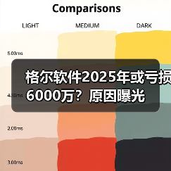 格尔软件2025年或亏损6000万？原因曝光(图4)