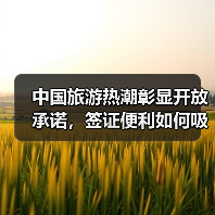 中国旅游热潮彰显开放承诺，签证便利如何吸引全球游客？(图4)