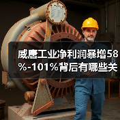 威唐工业净利润暴增58%-101%背后有哪些关键原因？(图4)
