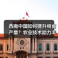 西南中国如何提升粮食产量？农业技术助力丰收(图3)