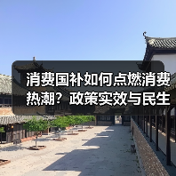 消费国补如何点燃消费热潮？政策实效与民生实惠双提升(图2)