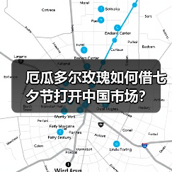 厄瓜多尔玫瑰如何借七夕节打开中国市场？(图4)