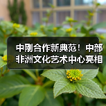 中刚合作新典范！中部非洲文化艺术中心亮相刚果（金）(图3)