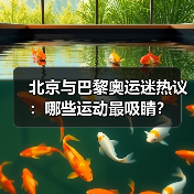 北京与巴黎奥运迷热议：哪些运动最吸睛？