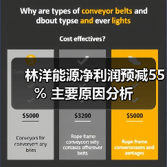 林洋能源净利润预减55% 主要原因分析(图2)