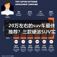 20万左右的suv车最佳推荐？三款硬派SUV实力优选(图3)