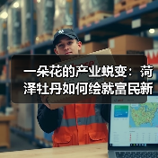 一朵花的产业蜕变：菏泽牡丹如何绘就富民新篇章？(图2)