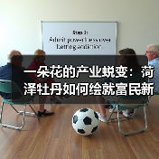 一朵花的产业蜕变：菏泽牡丹如何绘就富民新篇章？