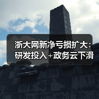 浙大网新净亏损扩大：研发投入+政务云下滑