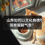 山东如何以文化自信引领发展新气象？(图4)