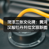 菏泽三张文化牌：黄河汉服牡丹共绘文旅新图景(图4)