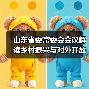 山东省委常委会会议解读乡村振兴与对外开放新举措