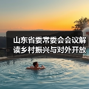 山东省委常委会会议解读乡村振兴与对外开放新举措(图4)