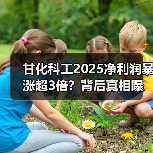 甘化科工2025净利润暴涨超3倍？背后真相曝光！(图4)