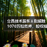 立昂技术股东王刚解除1070万股质押，股权结构变化引关注(图4)