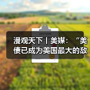 漫观天下丨美媒：“美债已成为美国最大的敌人”(图4)