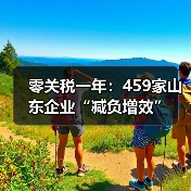零关税一年：459家山东企业“减负增效”(图2)