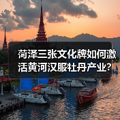 菏泽三张文化牌如何激活黄河汉服牡丹产业？(图2)