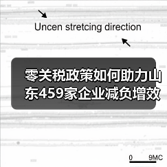 零关税政策如何助力山东459家企业减负增效？(图1)