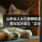 山东省人大代表裴树清：建议试点设立“企业社会工作组”(图4)