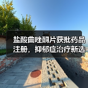 盐酸曲唑酮片获批药品注册，抑郁症治疗新选择？(图3)