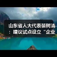 山东省人大代表裴树清：建议试点设立“企业社会工作组”(图2)