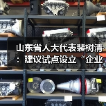 山东省人大代表裴树清：建议试点设立“企业