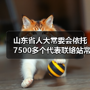山东省人大常委会依托7500多个代表联络站常态化联系服务群众(图3) 山东省人大常委会依托7500多个代表联络站常态化联系服务群众(图3)