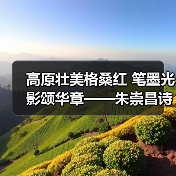 高原壮美格桑红 笔墨光影颂华章——朱崇昌诗词书法摄影展隆重开幕(图3)