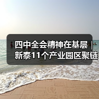四中全会精神在基层|新泰11个产业园区聚链成群(图2) 四中全会精神在基层|新泰11个产业园区聚链成群(图2)