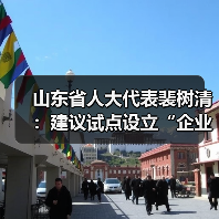 山东省人大代表裴树清:建议试点设立“企业社会工作组”(图1) 山东省人大代表裴树清:建议试点设立“企业社会工作组”(图1)