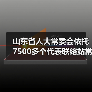 山东省人大常委会依托7500多个代表联络站常态化联系服务群众(图3)