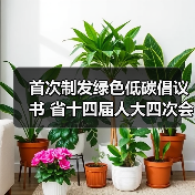 首次制发绿色低碳倡议书 省十四届人大四次会议坚定不移纠“四风”树新风(图3) 首次制发绿色低碳倡议书 省十四届人大四次会议坚定不移纠“四风”树新风(图3)