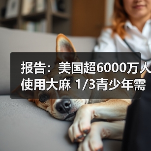 报告:美国超6000万人使用大麻 1/3青少年需心理治疗(图1) 报告:美国超6000万人使用大麻 1/3青少年需心理治疗(图1)