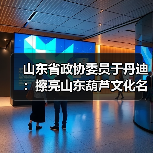 山东省政协委员于丹迪：擦亮山东葫芦文化名片，打造“中华福禄文化”超级IP(图2)