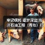 牢记嘱托 逐梦深蓝|海洋石油工程(青岛)打造全球领先海工装备制造高地(图2) 牢记嘱托 逐梦深蓝|海洋石油工程(青岛)打造全球领先海工装备制造高地(图2)