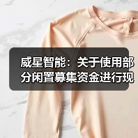 威星智能:关于使用部分闲置募集资金进行现金管理的进展公告(图4) 威星智能:关于使用部分闲置募集资金进行现金管理的进展公告(图4)