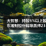 大智慧：持股5%以上股东湘财股份解除质押2300.00万股(图2)